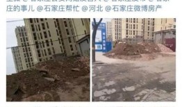 石家庄乐业最新爆料,揭秘行业动态与职场新趋势