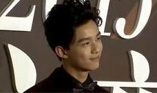 吴磊红毯爆料视频大全集,星光熠熠，揭秘明星幕后故事